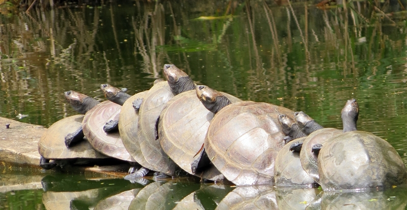 2025011020190307.jpg 101.jpg