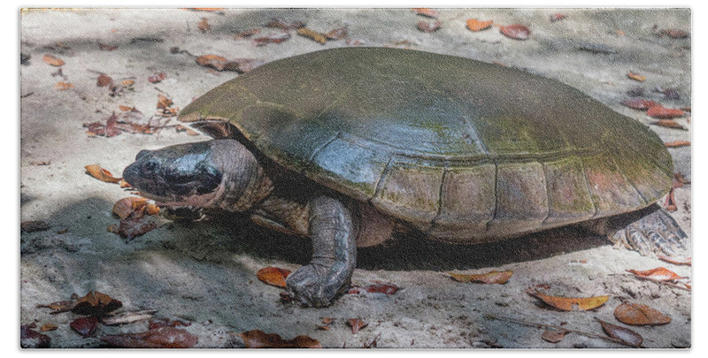 2025011084579591.jpg 10.jpg