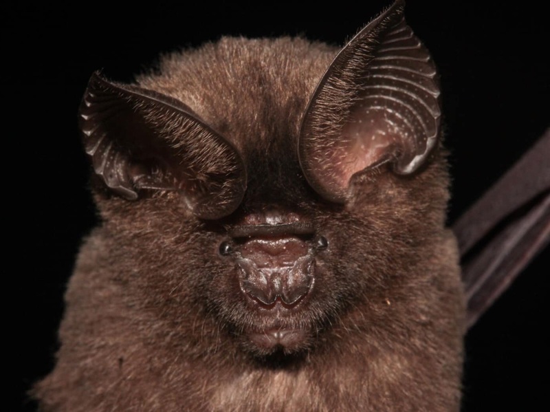 2025011510543853.jpg 5.jpg