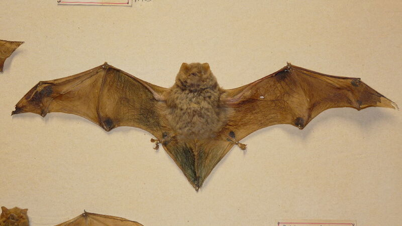 2025011518142149.jpeg 101.jpeg