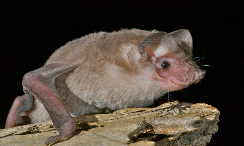 2025011536600238.jpg 6.jpg