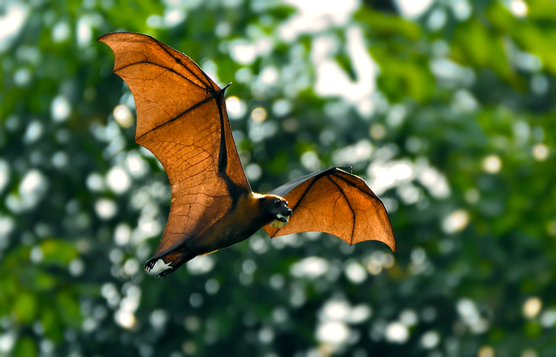 2025011553177883.jpg 1.jpg