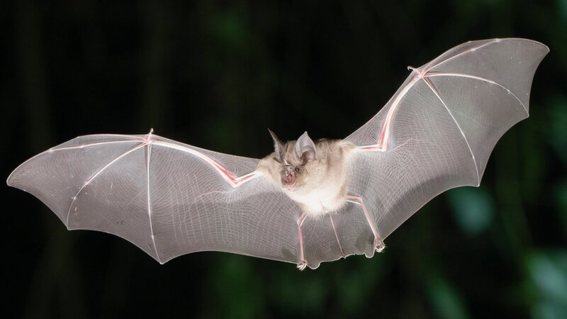 2025011560070764.jpg 22.jpg