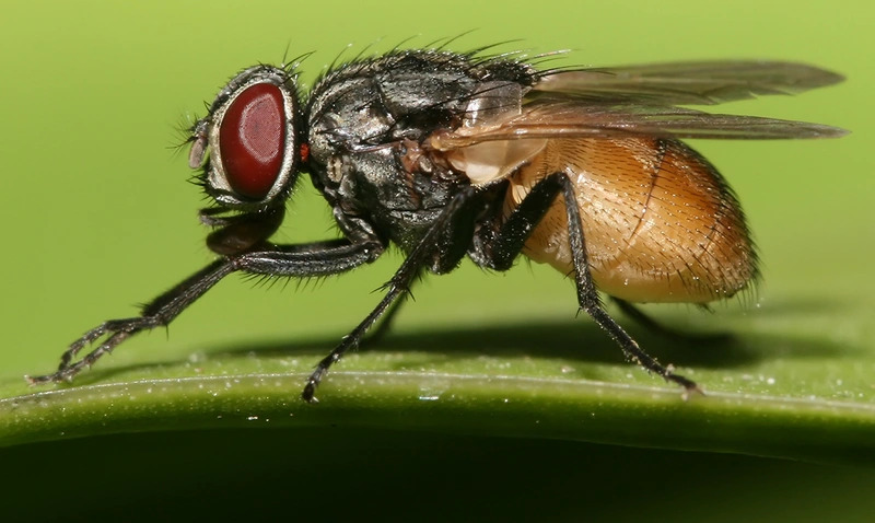 2025012085977469.jpg 7.jpg