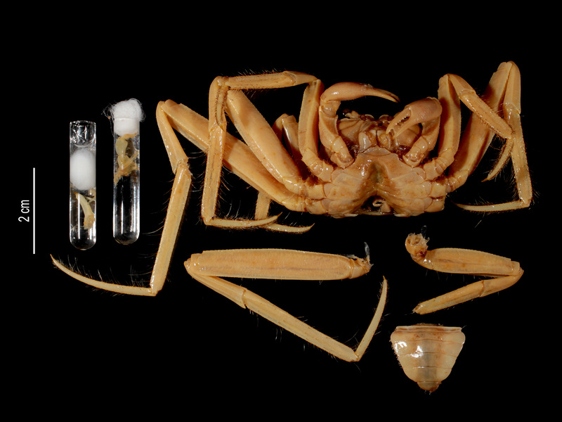 2025020611599390.jpeg 77.jpeg