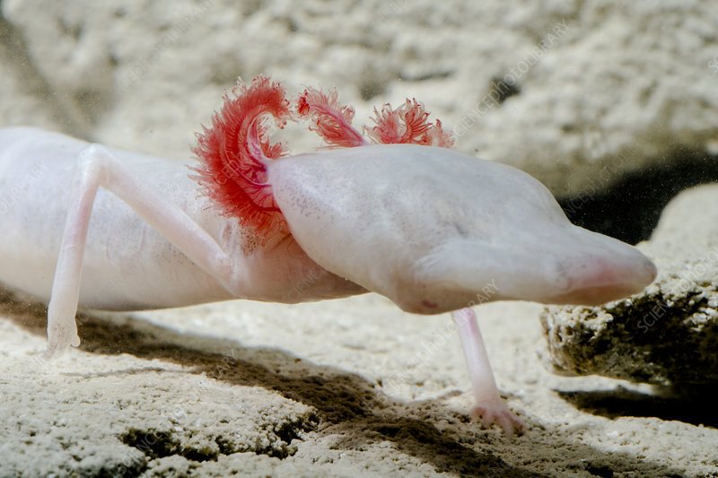 2025020612245101.jpg 99.jpg