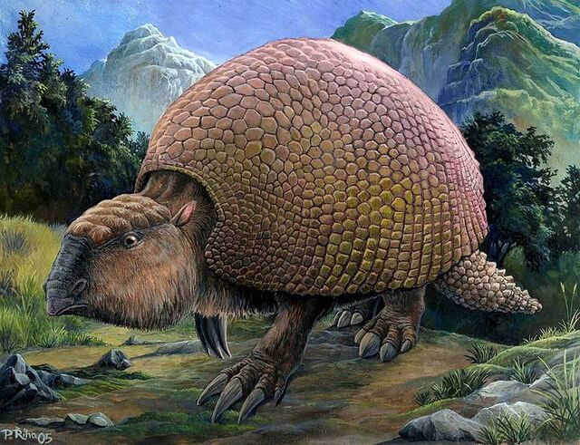 披甲巨兽(Glyptodon) 披甲巨兽(Glyptodon)