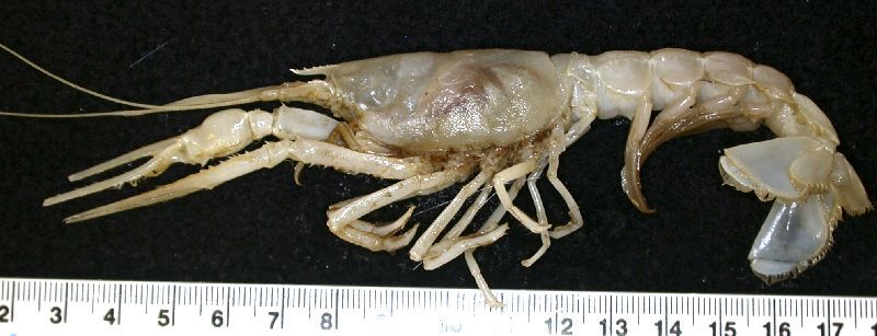 2025020614880077.jpg 66.jpg