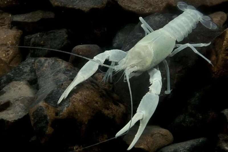 2025020617264956.jpg 6.jpg