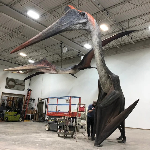 风神翼龙(Quetzalcoatlus) 风神翼龙(Quetzalcoatlus)