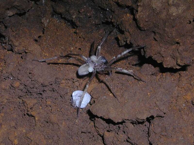 2025020618014887.jpg 33.jpg