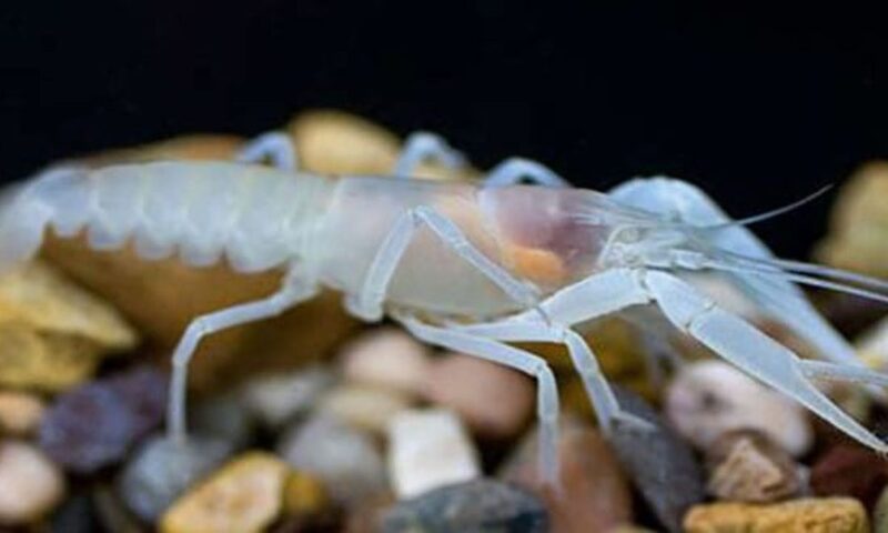 2025020647399853.jpeg 8.jpeg