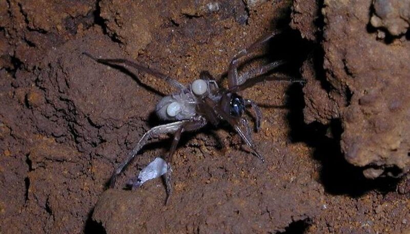 2025020650635985.jpg 3.jpg