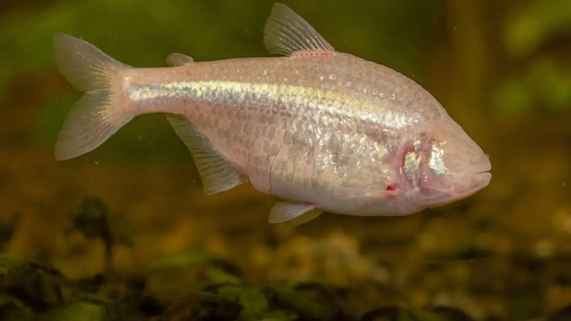 2025020654785321.jpg 55.jpg