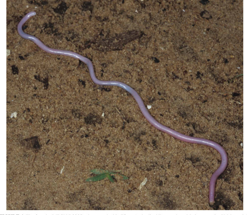 2025020662567669.jpg 44.jpg