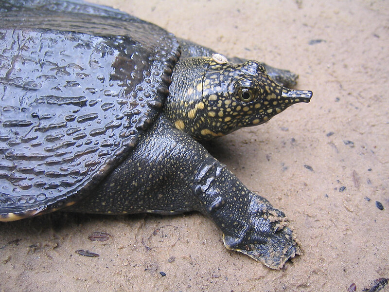 2025021210816452.jpg 55.jpg