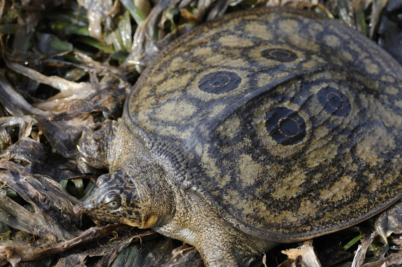 2025021217222128.jpg 88.jpg