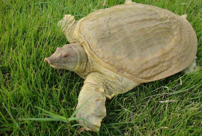 2025021271434232.jpg 104.jpg