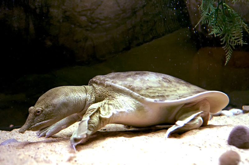 2025021275262071.jpg 1.jpg