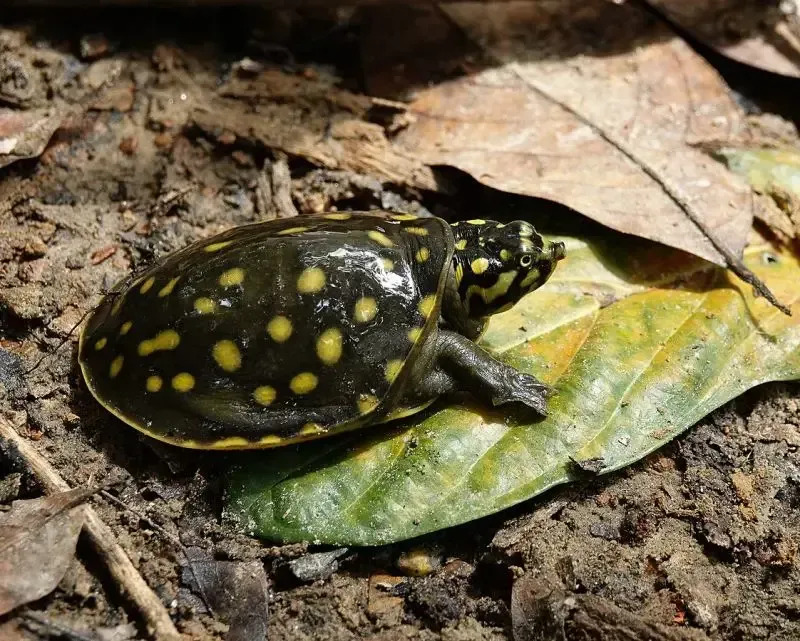 2025021282989414.jpg 66.jpg