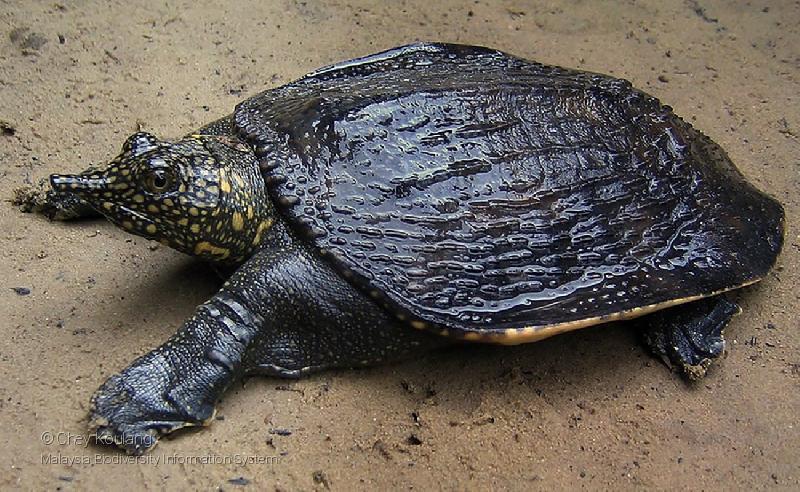 2025021290213014.jpeg 5.jpeg