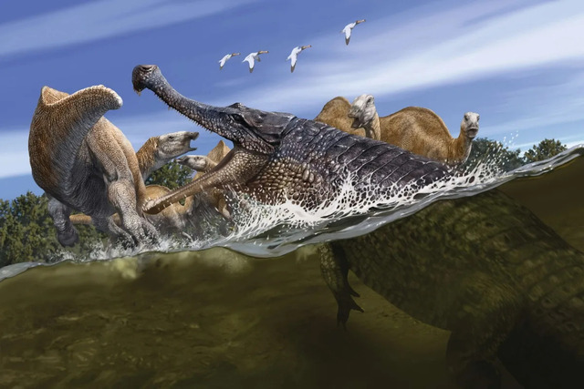 恐鳄(Crocodilians) 恐鳄(Crocodilians)