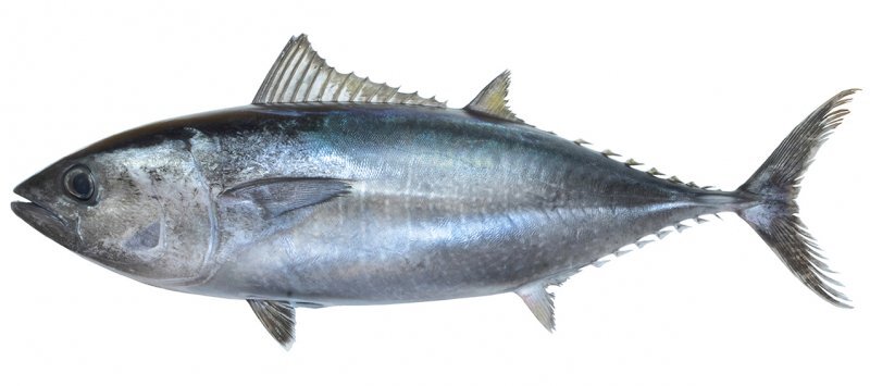 2025021815101278.jpg 2.jpg