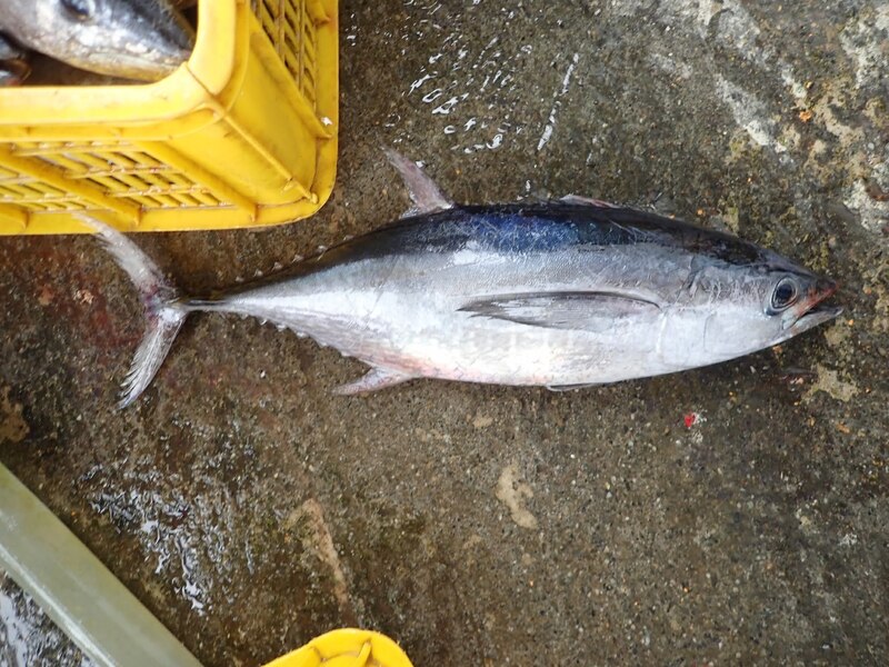 2025021847124389.jpg 8.jpg