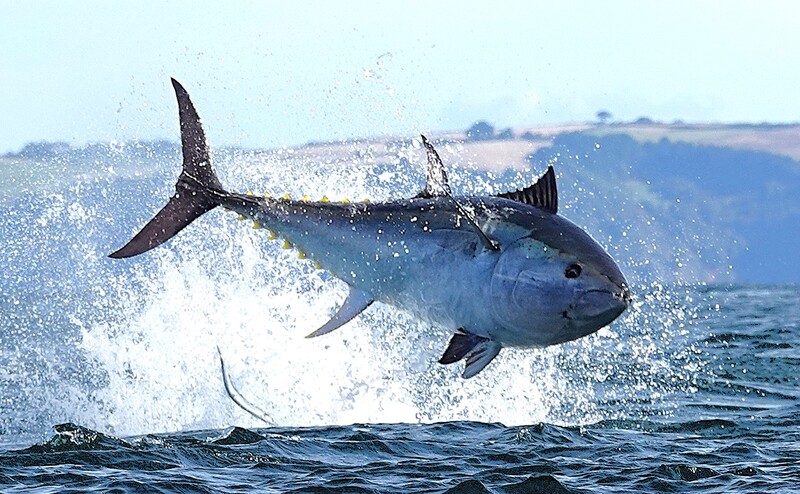 2025021849219717.jpg 123.jpg