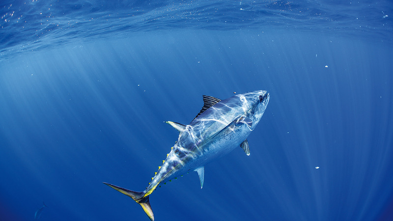 2025021857476731.jpg 33.jpg