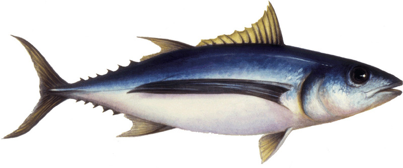 2025021857996375.jpg 9.jpg