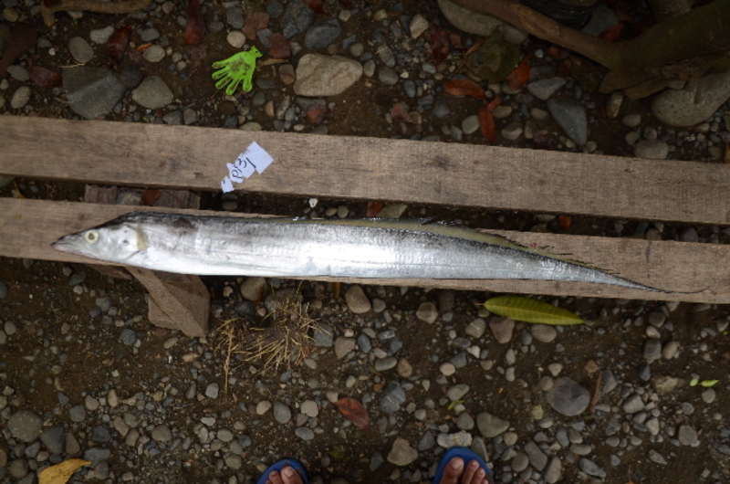 2025022412451429.jpeg 33.jpeg