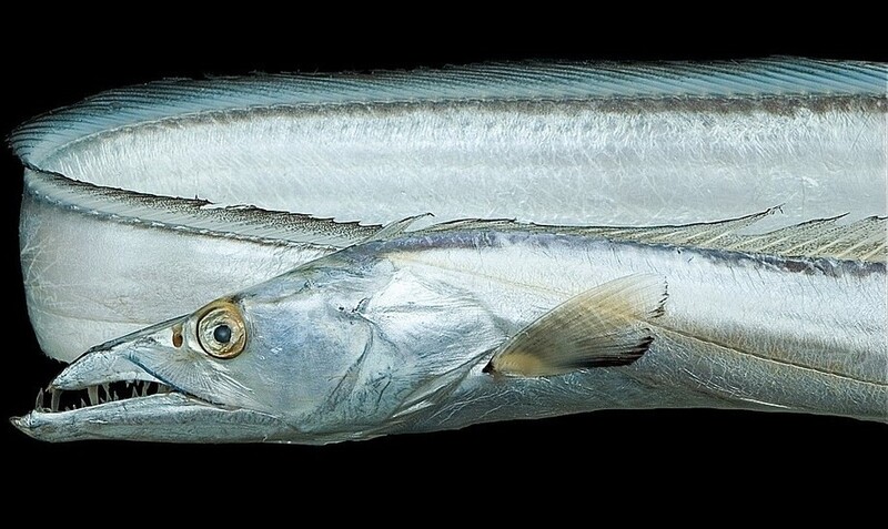 2025022413013669.jpg 5.jpg