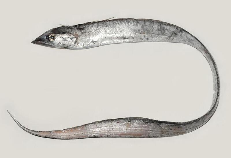 2025022414713901.jpg 10.jpg