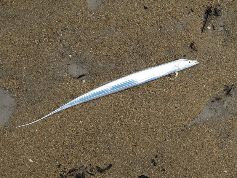 2025022417406545.jpeg 55.jpeg