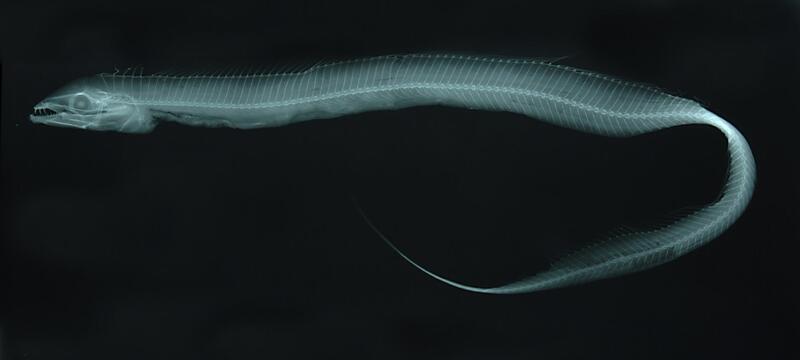 2025022418047415.jpg 101.jpg