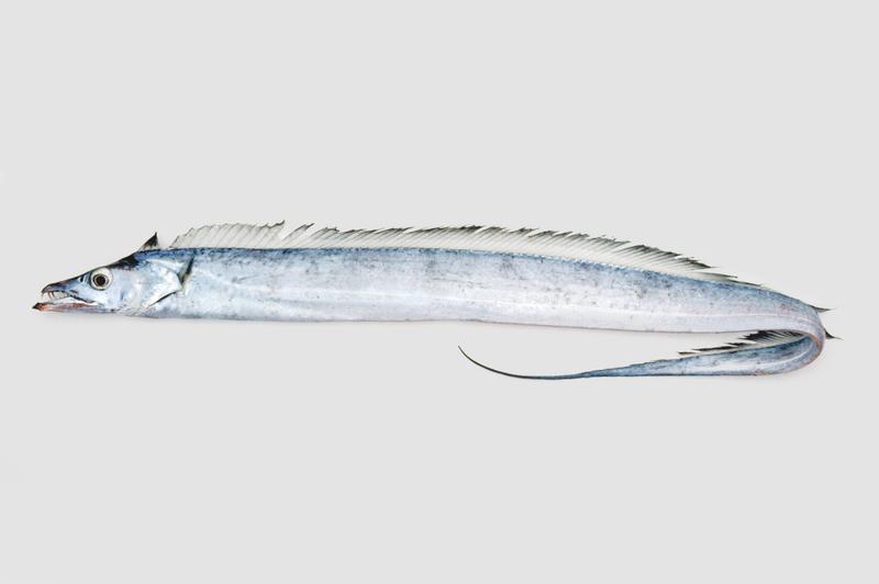 2025022419396104.jpg 11.jpg