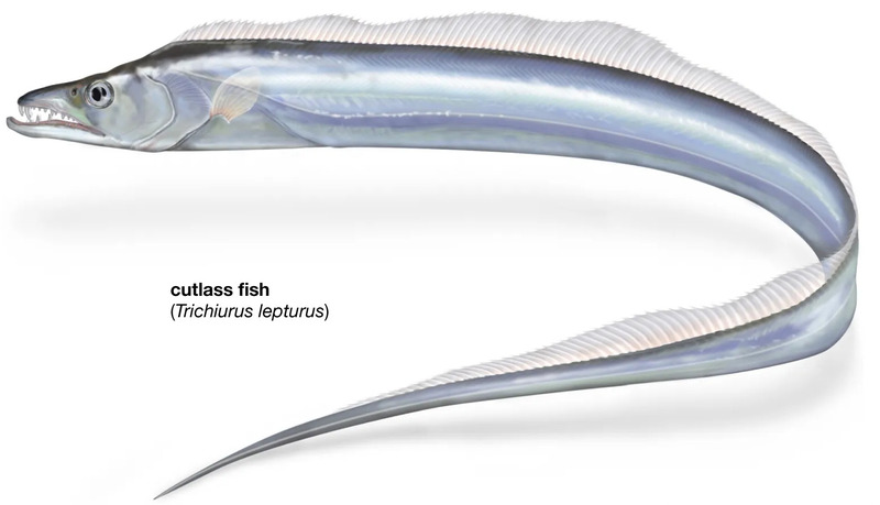 2025022419440765.jpg 1.jpg