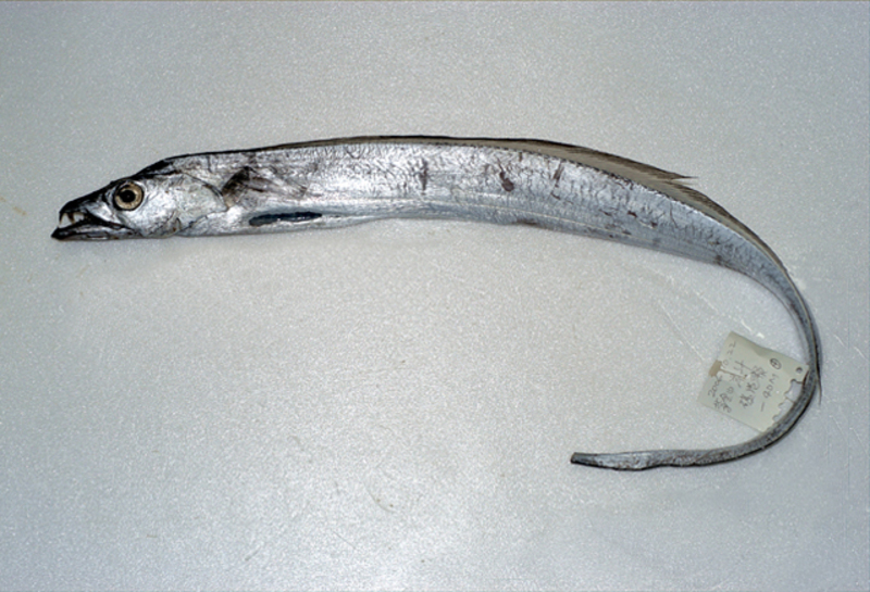 2025022472928137.jpg 6.jpg