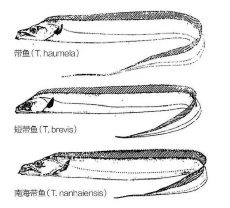 2025022475376130.jpg 123.jpg