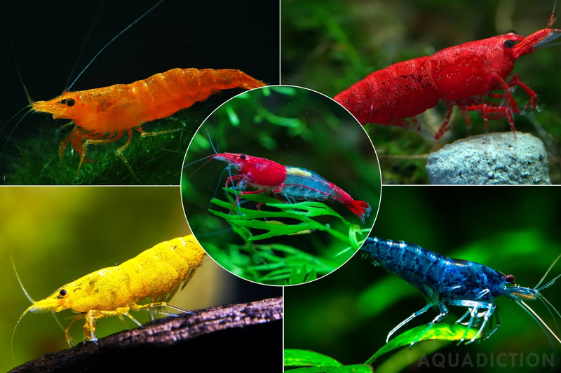 2025022511503703.jpg 10.jpg