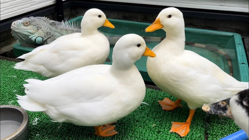 2025022519711863.jpg 7.jpg