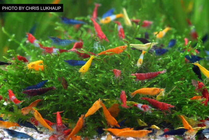 2025022520861144.jpg 101.jpg