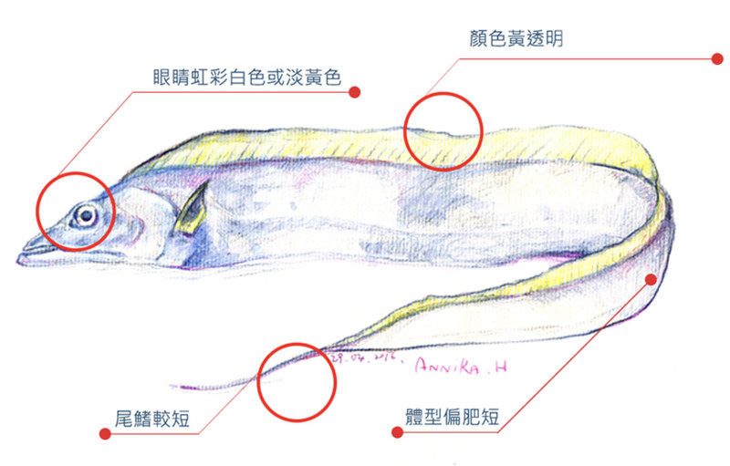 2025022522042330.jpg 22.jpg