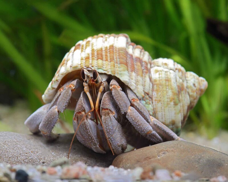 2025022533518355.jpg 9.jpg