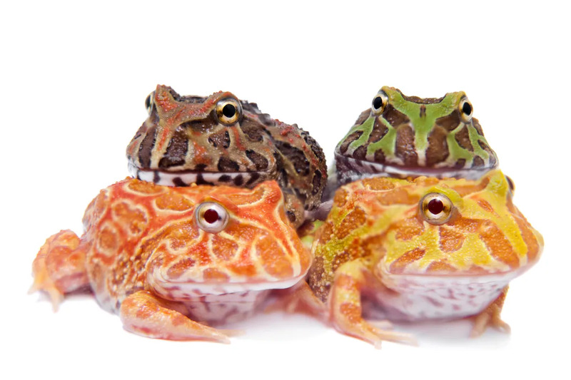 2025022550568117.jpg 3.jpg