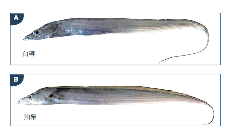 2025022551135269.jpg 2.jpg