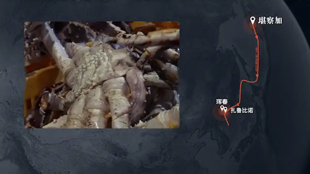 2025022611325992.webp 11.webp