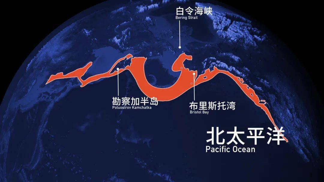 2025022615410602.jpeg 3.jpeg