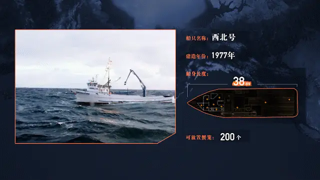 2025022616894392.webp 8.webp